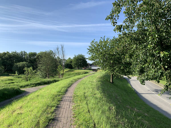 Path on a dike next to apple tree fields