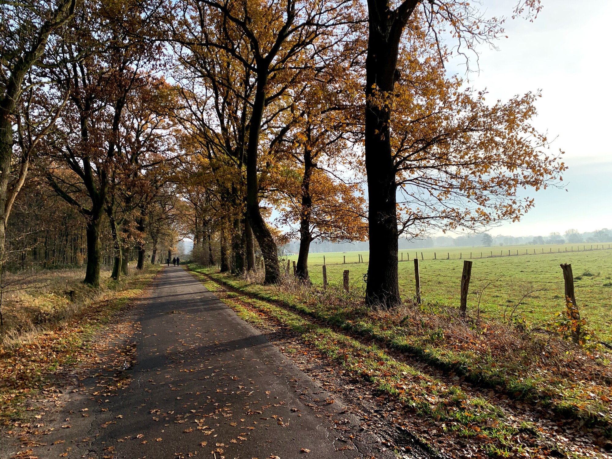 Hero image for this blog post