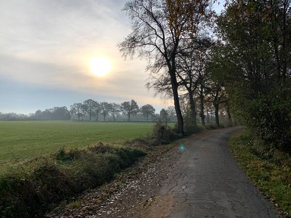 Just like last weekend in Steinfurt, today turned out to be a good and calm, sunny but cold fall’s day