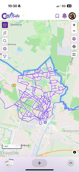 Here, I went on a weekend trip to a remote corner of Hamburg and just filled it out by running—I really like the result