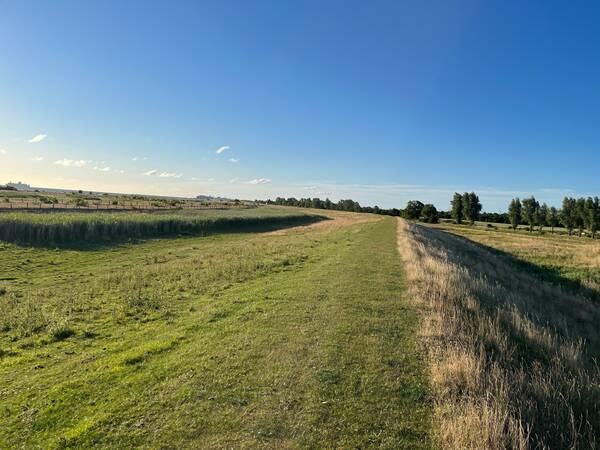 Running on a grassy dike