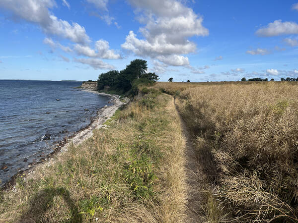 Wide horizons