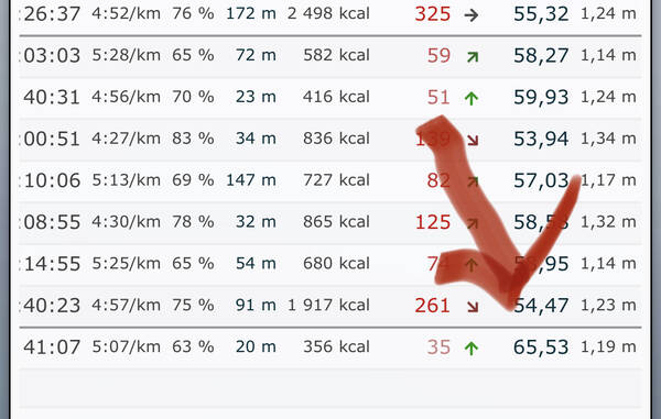 Runalyze now attested a new VO₂max of all times