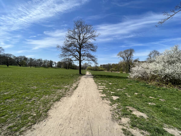 And the weather improved! Here’s the start of my usual route through Jenischpark down to the river