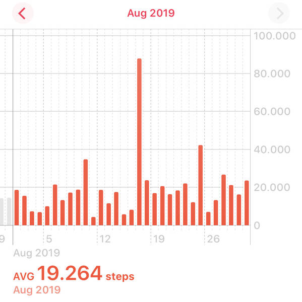 Hamburg Everest and the Plön Marathon helped