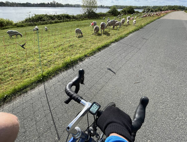 Can’t really say no to cycling outside in summer