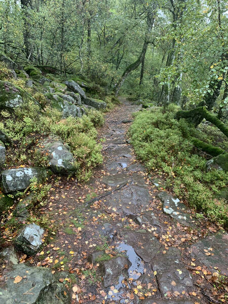 Technical part: slippery downhill on natural stones – my priority is to make sure not to fall down here!