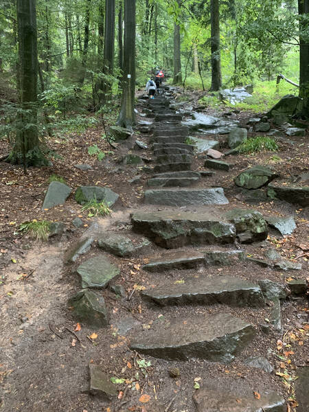 One of the most difficult parts: natural stones leading up to Königstuhl hill.