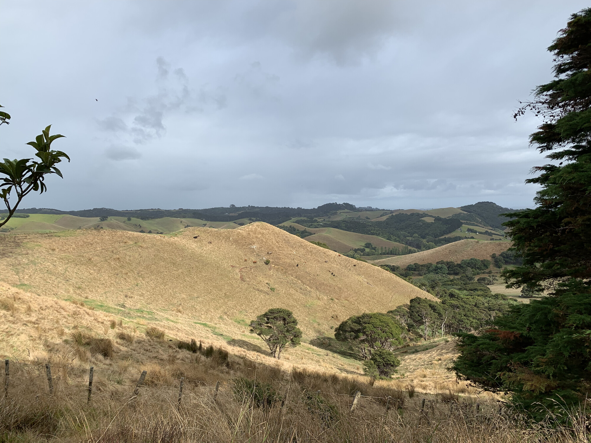 Hero image for this blog post