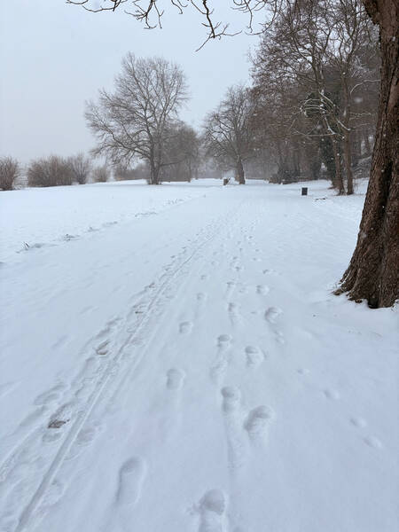 And back to snow again
