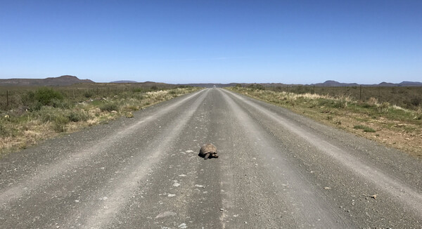 Slowly moving towards my goals – only to be crushed by a white van at the horizon? Definitely not!