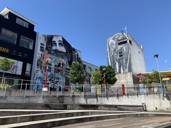 New Plymouth street art