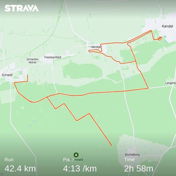 Strava agreed, too – I’m particularly proud of the even kilometer splits, thanks to the perfect pacers