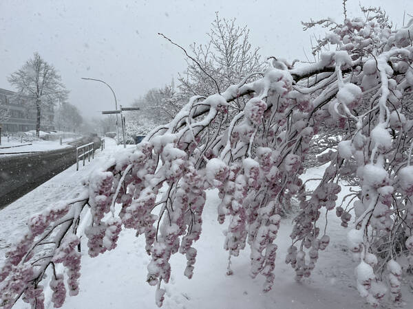 Spring season? Not so fast! Picture taken on March 31st.