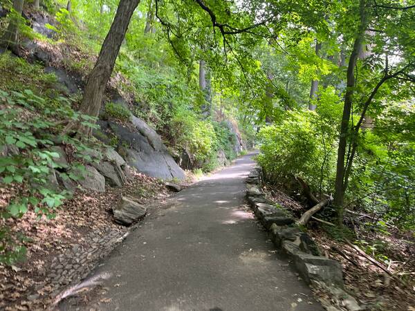 Forest bathing? Yes, it counts.