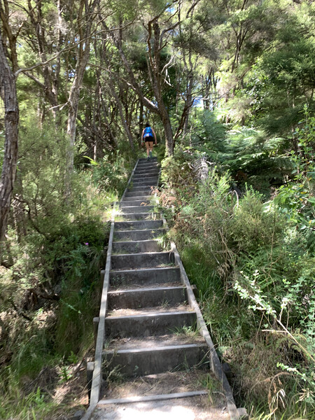 Up the steps.