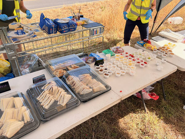 Selection at Newlands Corner