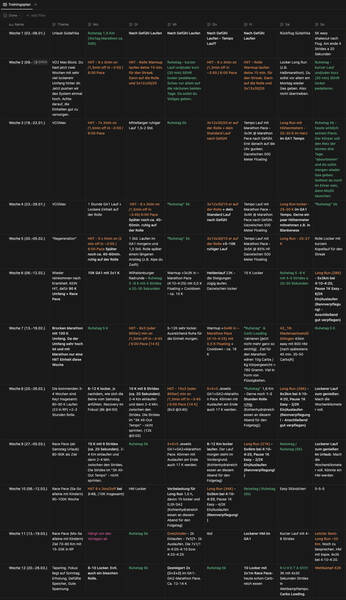 The training plan as he wrote it in Notion