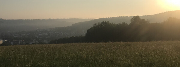 Peaceful Thuringian meadows