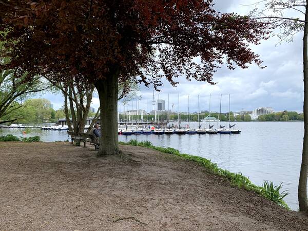 Alster from the eastern side now