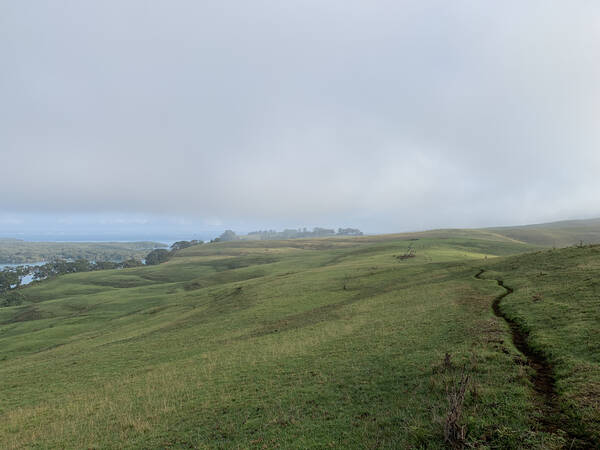 The track follows trails but also just grass meadows, still damp and slippery from the night