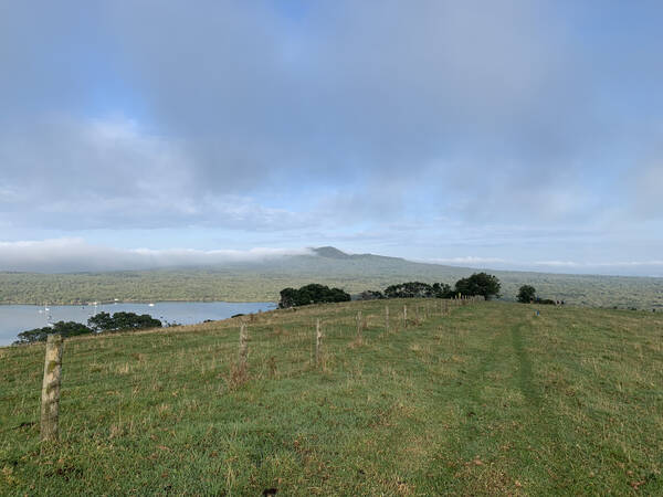 Rangitoto has been on the face of earth for just 600 years