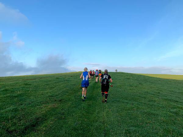 First, some more wet meadows uphill