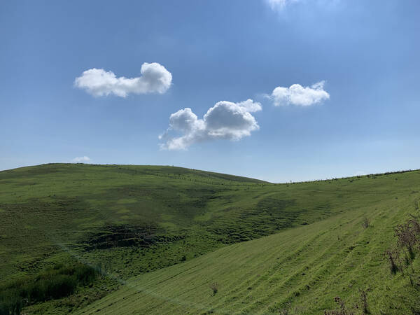 Remember that Windows XP default desktop background?