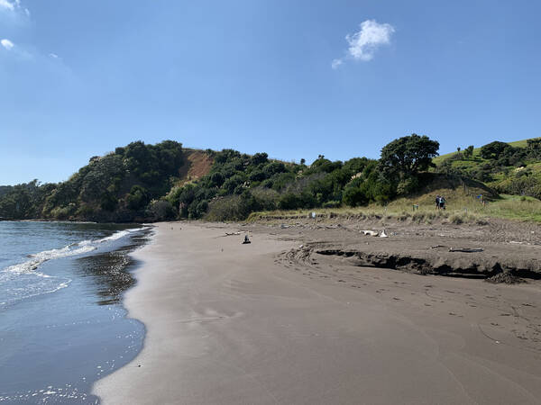 And a few meters to run on said beach