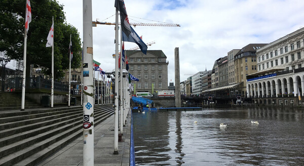 Climbing out over the blue carpet is the goal. The swans don’t care.