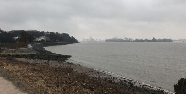 View of the port from Teufelsbrück