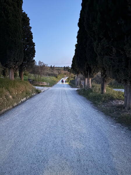 This type of road is one of the dominant ones in this race