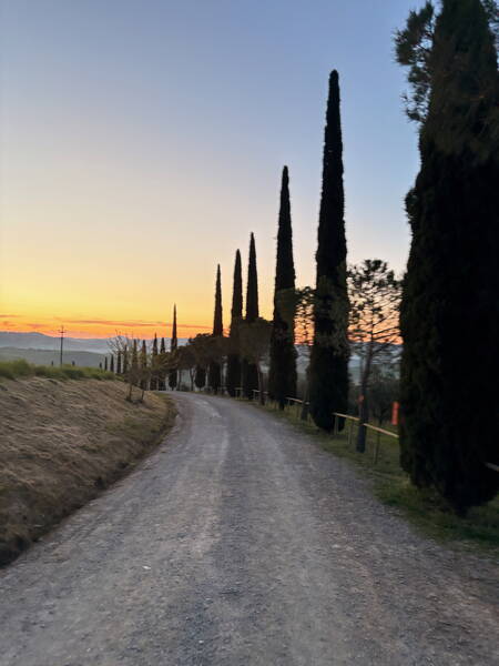 Another typical cypress-lined street