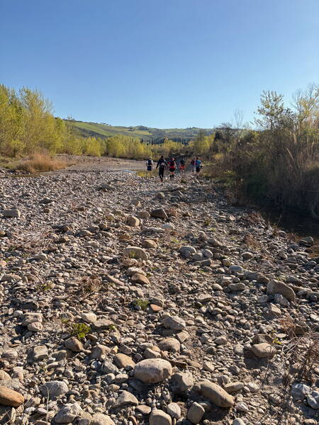 Rocky riverbed