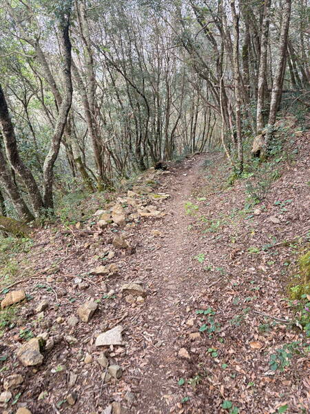 Parts of the downhill