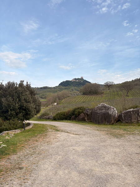 There it is in view, right below the castle
