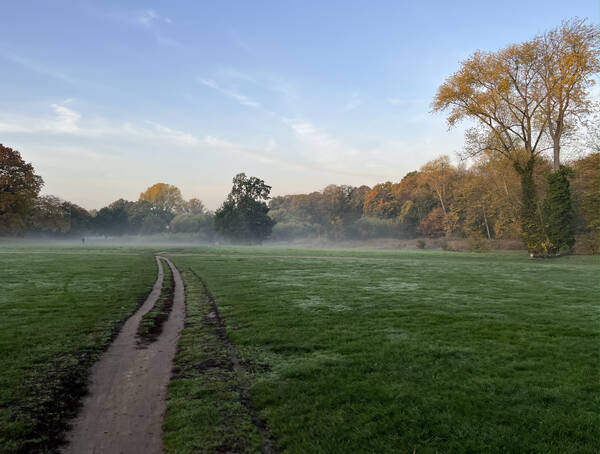 The colors of the season on my local route through Jenischpark