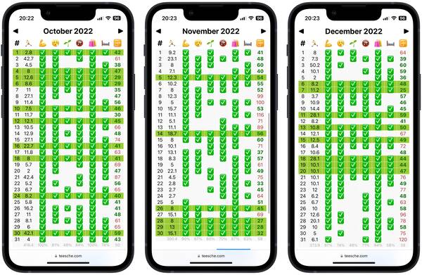 Three months with checkmarks – a green row background shows what I define as a “perfect day”