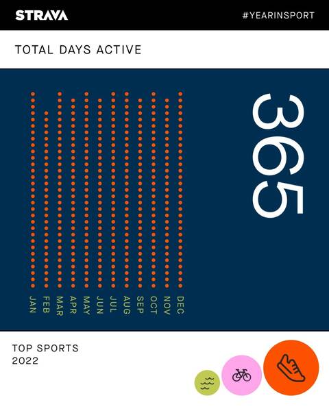 The whole year looked great thanks to my running streak – 365 active days out of 365