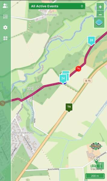 Live view during the race