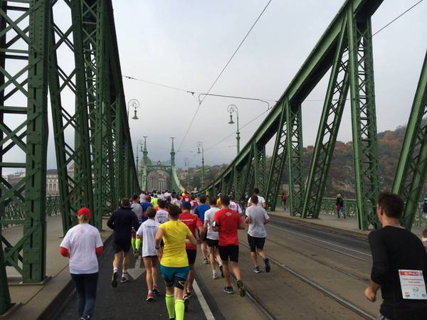 Crossing the first of three Danube bridges, the Liberty Bridge