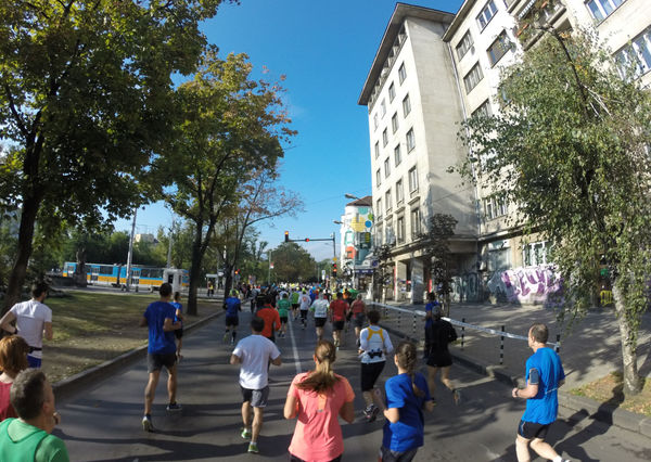 A full field of runners