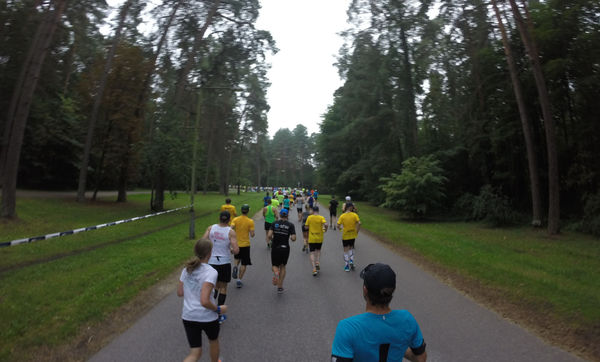 Forrest air