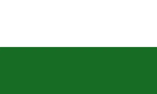 Saxony state flag
